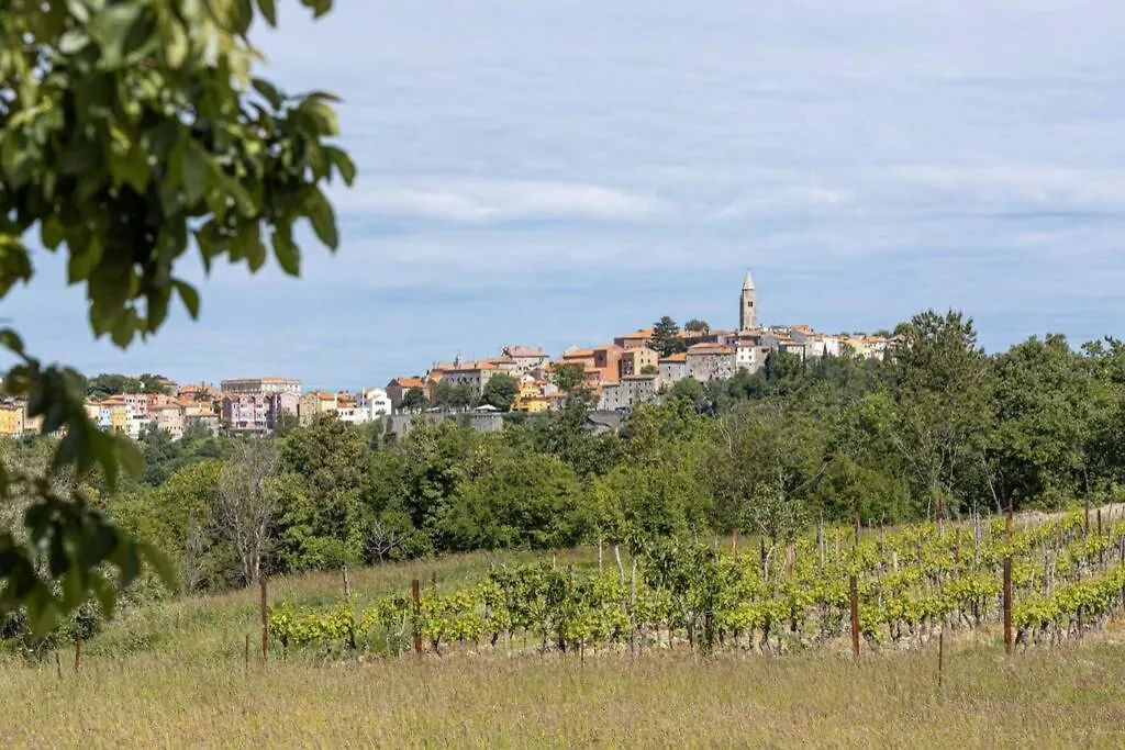 Beautiful Villa Gallova Labin